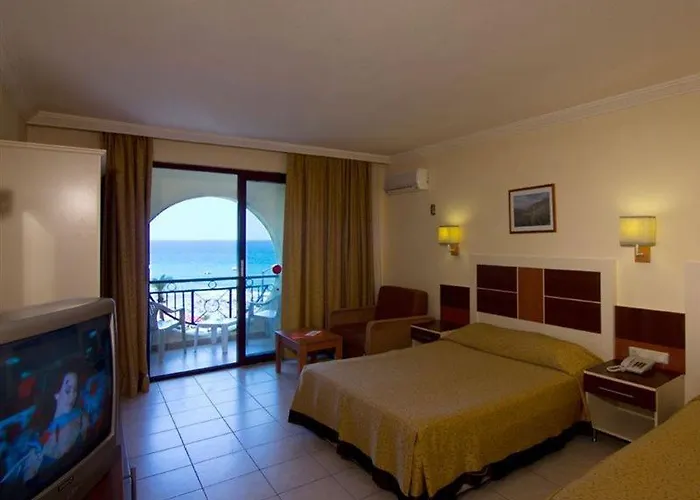 Kaila Krizantem Alanya