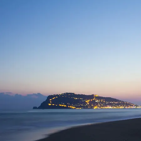 Kaila Krizantem Alanya