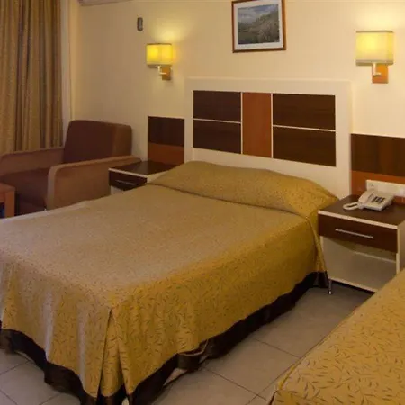 Kaila Krizantem Alanya