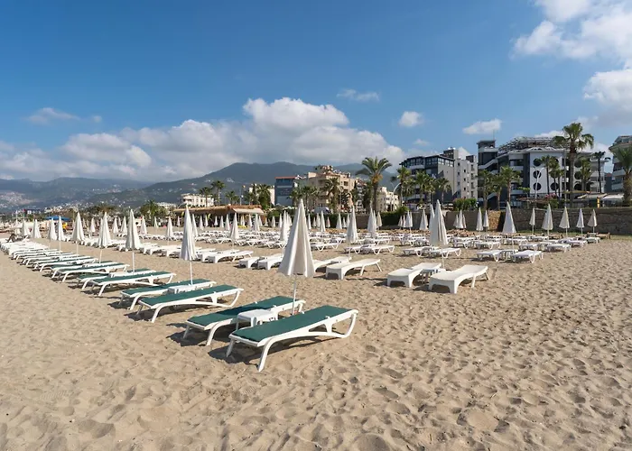 Kaila Krizantem Θέρετρο