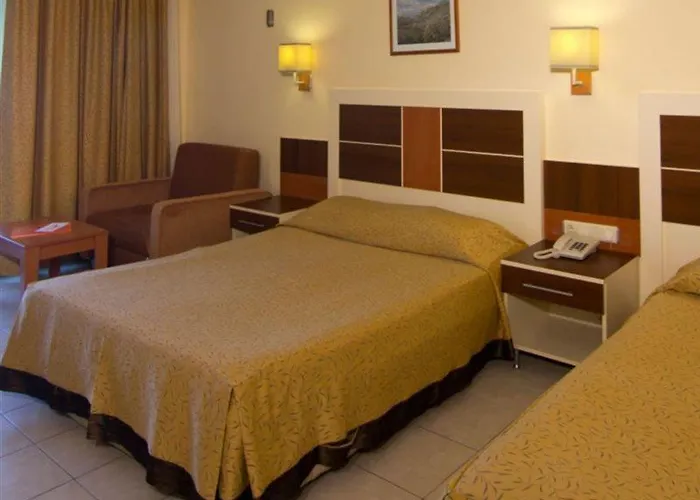 Kaila Krizantem Alanya